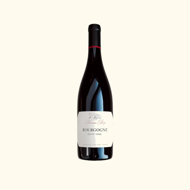 Maison Shaps – Bourgogne Côte d’Or ‘Les Chazots’ Pinot Noir 2023